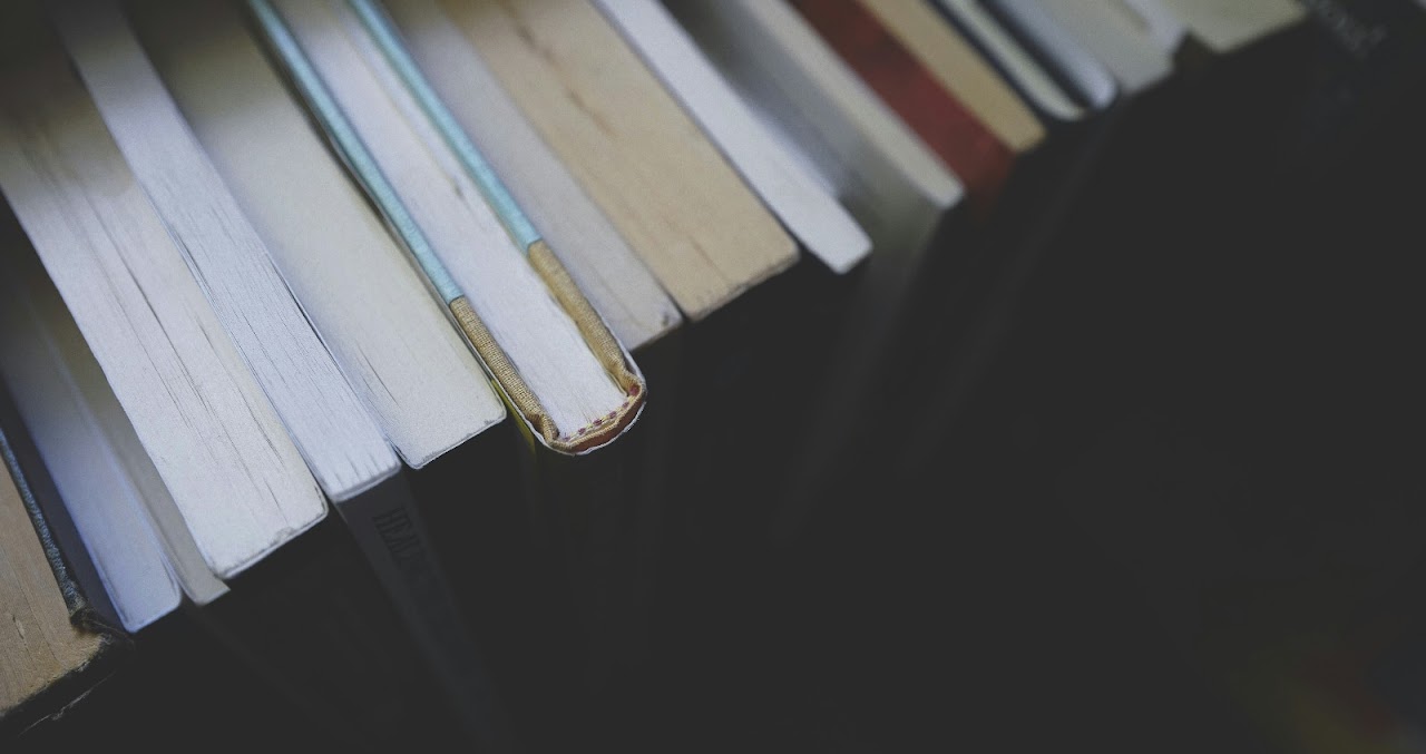 The best books of 2024